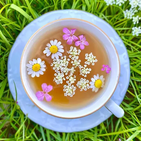 Bed & Breakfast Da Peppe Rotonda