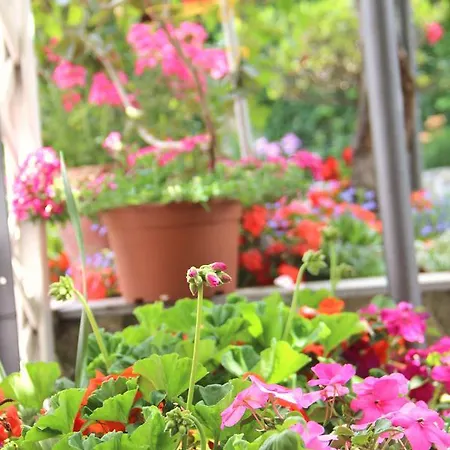 Bed & Breakfast Da Peppe